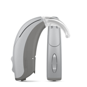 Widex-EVOKE-FP-Double-Titanium-grey-Grey-With-hook-Hearing-aid-With-shadow